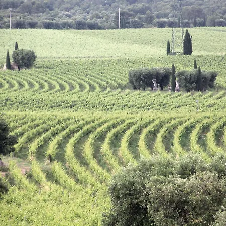 Tatil Evi La Dimora Dellazingara *