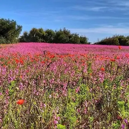 La Dimora Dellazingara Statte