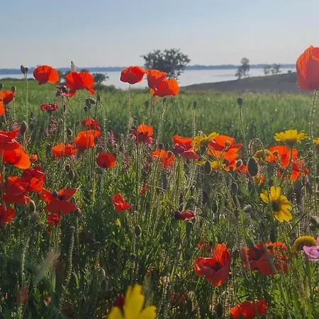 Tatil Evi La Dimora Dellazingara