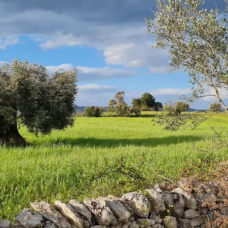 La Dimora Dellazingara Feriehus *