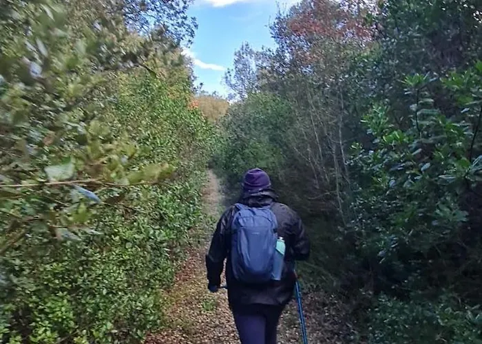 別荘 La Dimora Dellazingara Statte